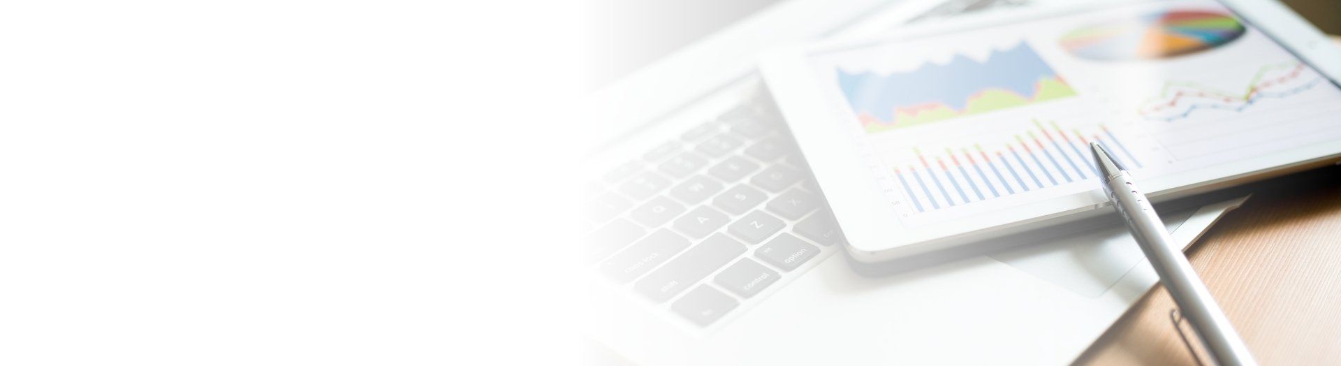 Business Intelligence (BI)