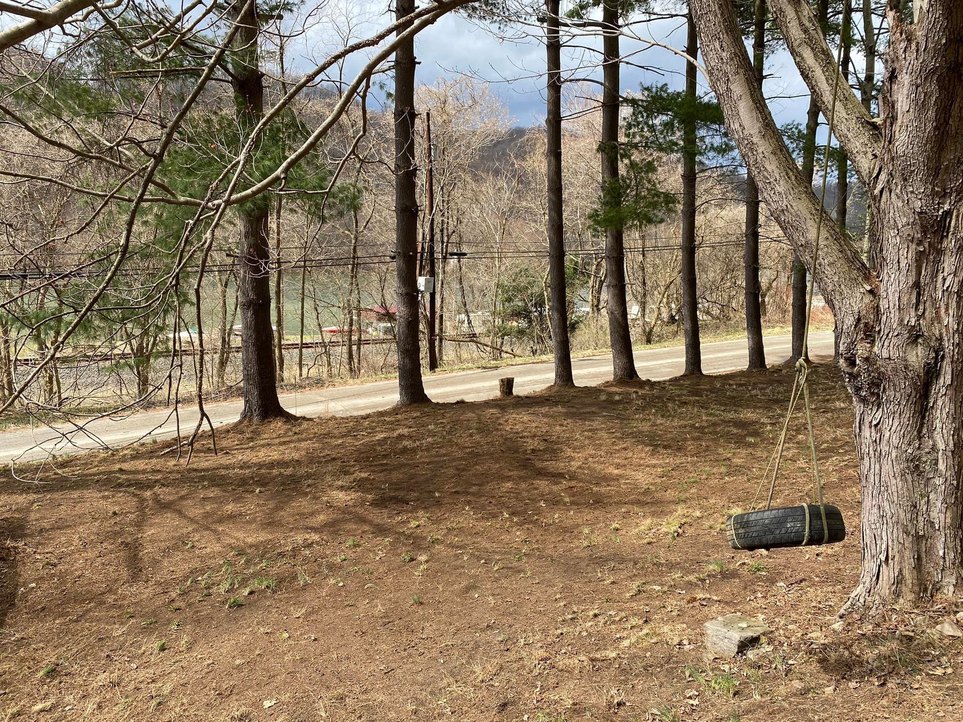 A tire swing hangs from a tree in a leaf-covered yard beside a road lined with tall trees in early spring.