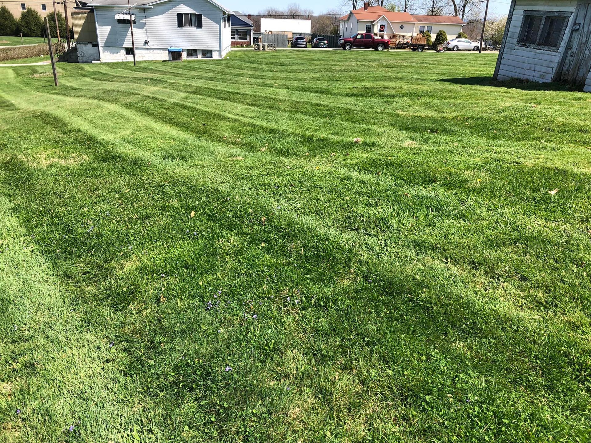 A large, grassy suburban backyard with visible lawnmower stripes, surrounding houses, and a clear blue sky.