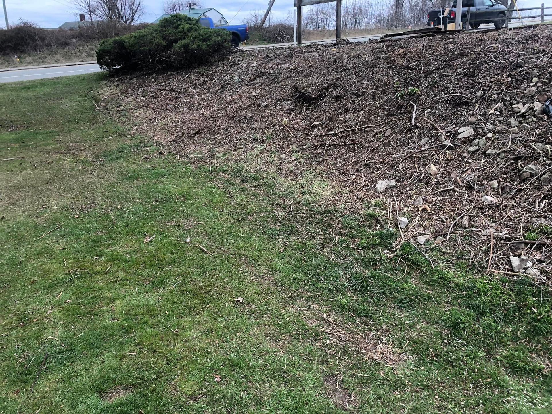 A grassy area next to a mulch-covered slope, with a road and parked cars visible in the background.