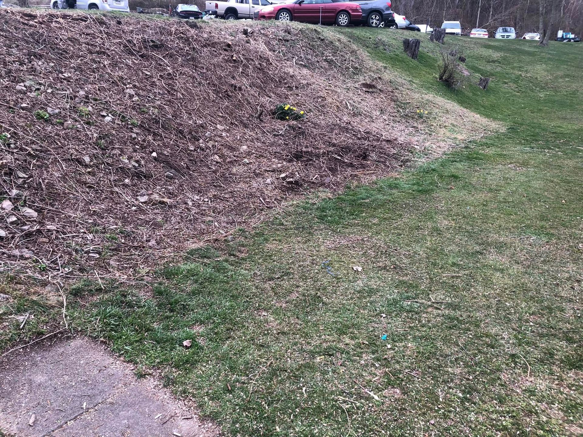 A grassy, wood-mulched slope outdoors, with cars parked along the top edge of the hill.