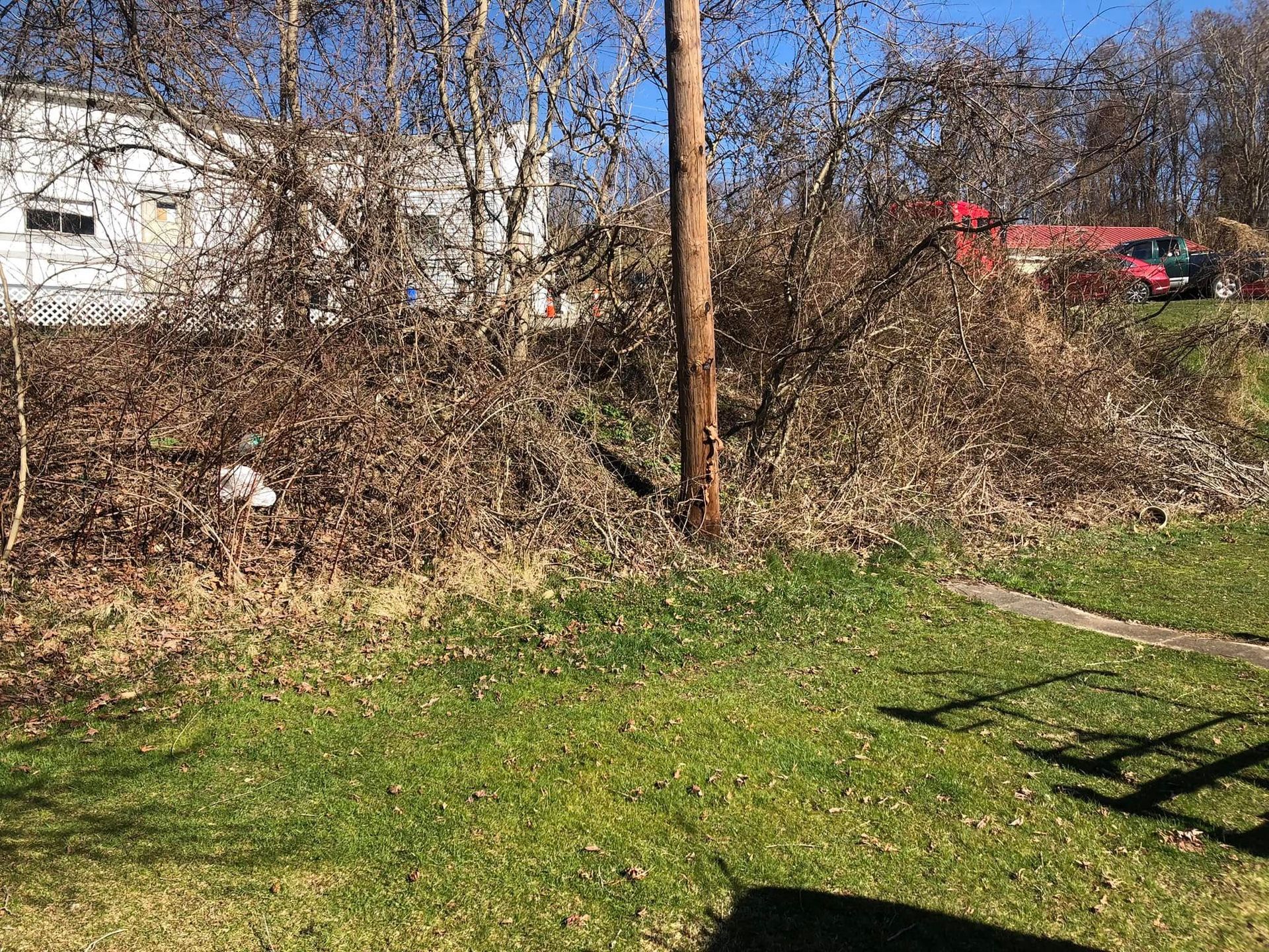 A grassy lawn in the foreground leads to a dense, brown brush-filled area with a utility pole and a white building behind.