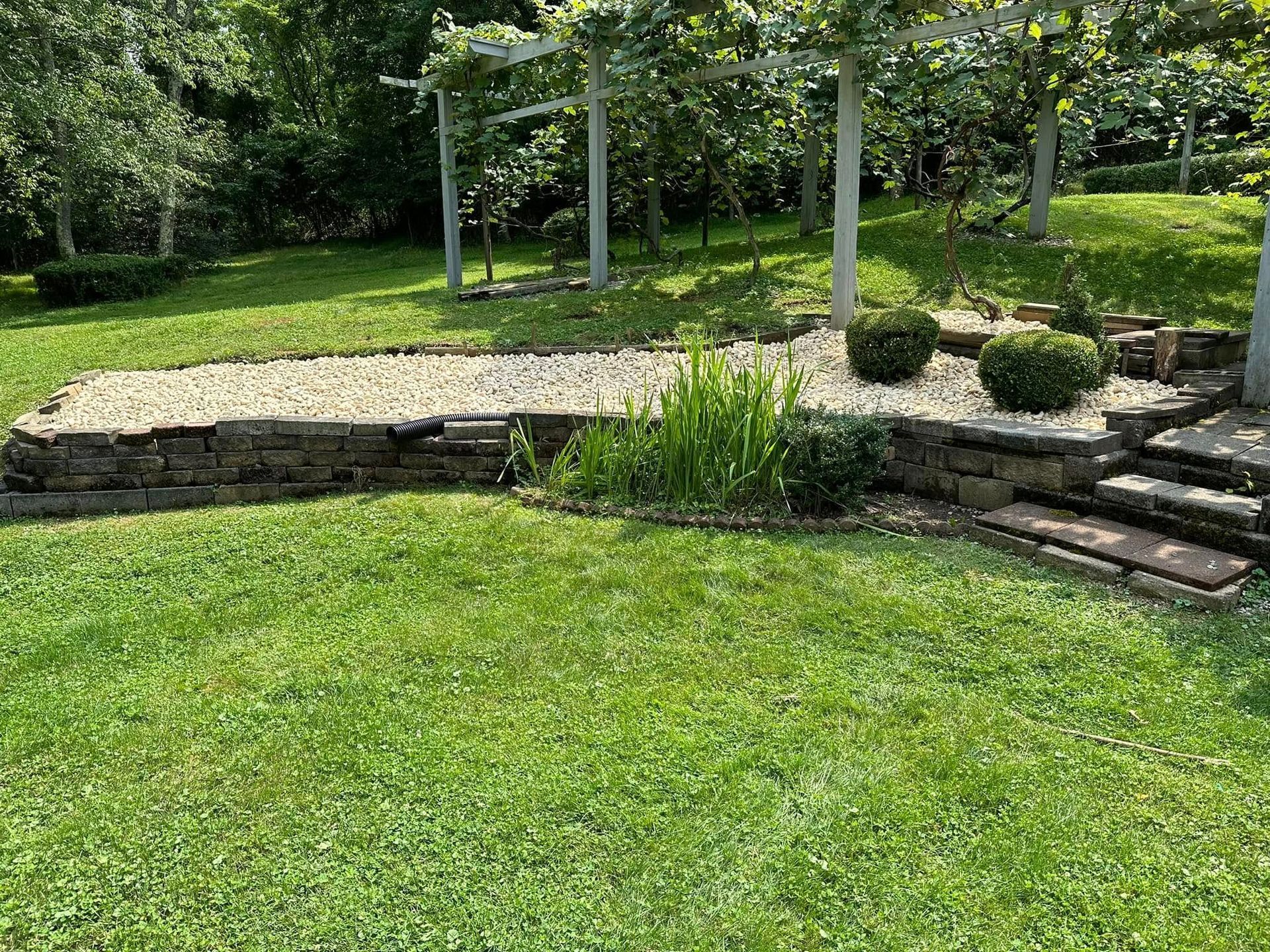 A raised garden bed filled with light gravel and a few small shrubs, featuring stone steps in a lush green lawn.