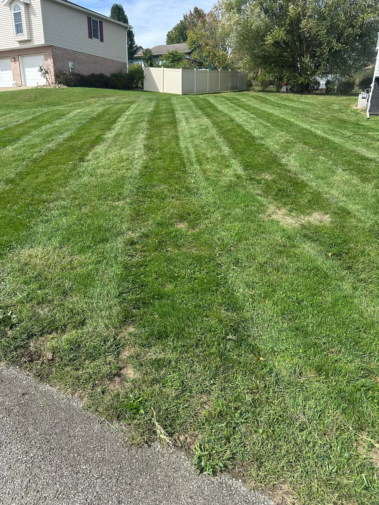 A mowed residential lawn with distinct light and dark green stripes, viewed from a slightly elevated angle.
