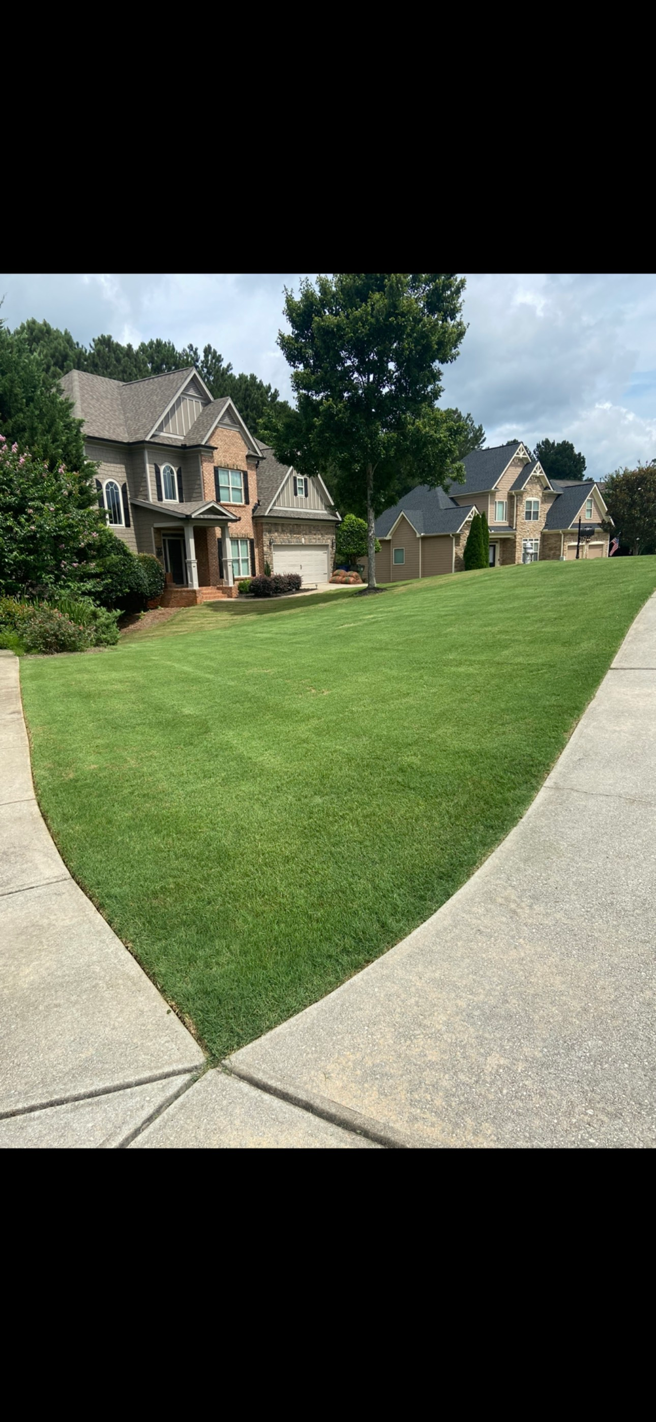 Lush green lawn in front of several houses with manicured landscaping, concrete walkway in the foreground, cloudy sky.