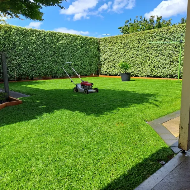 removing the leaf from the garden