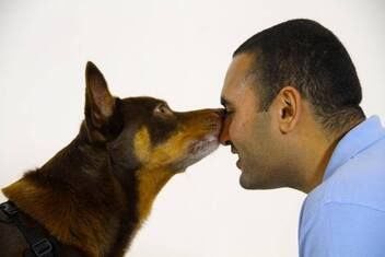 A man is kissing his dog on the nose.