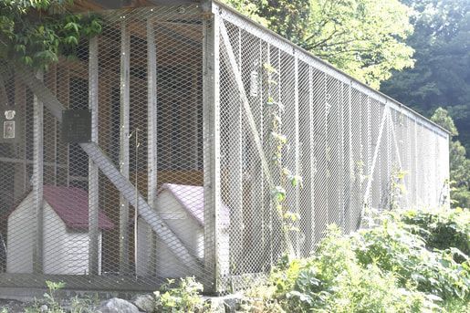 A chicken coop with a fence around it is surrounded by trees.
