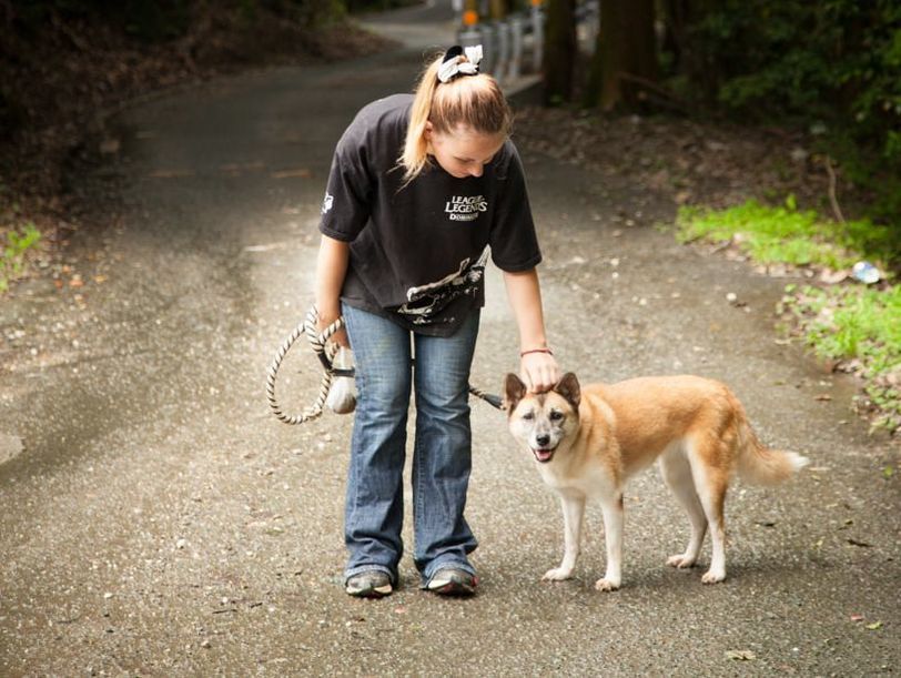 A woman is petting a dog on a leash on a road.