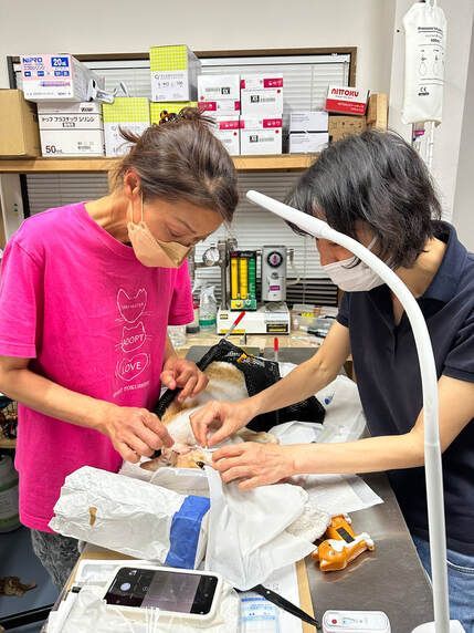 Two women wearing masks are working on a project in a room.