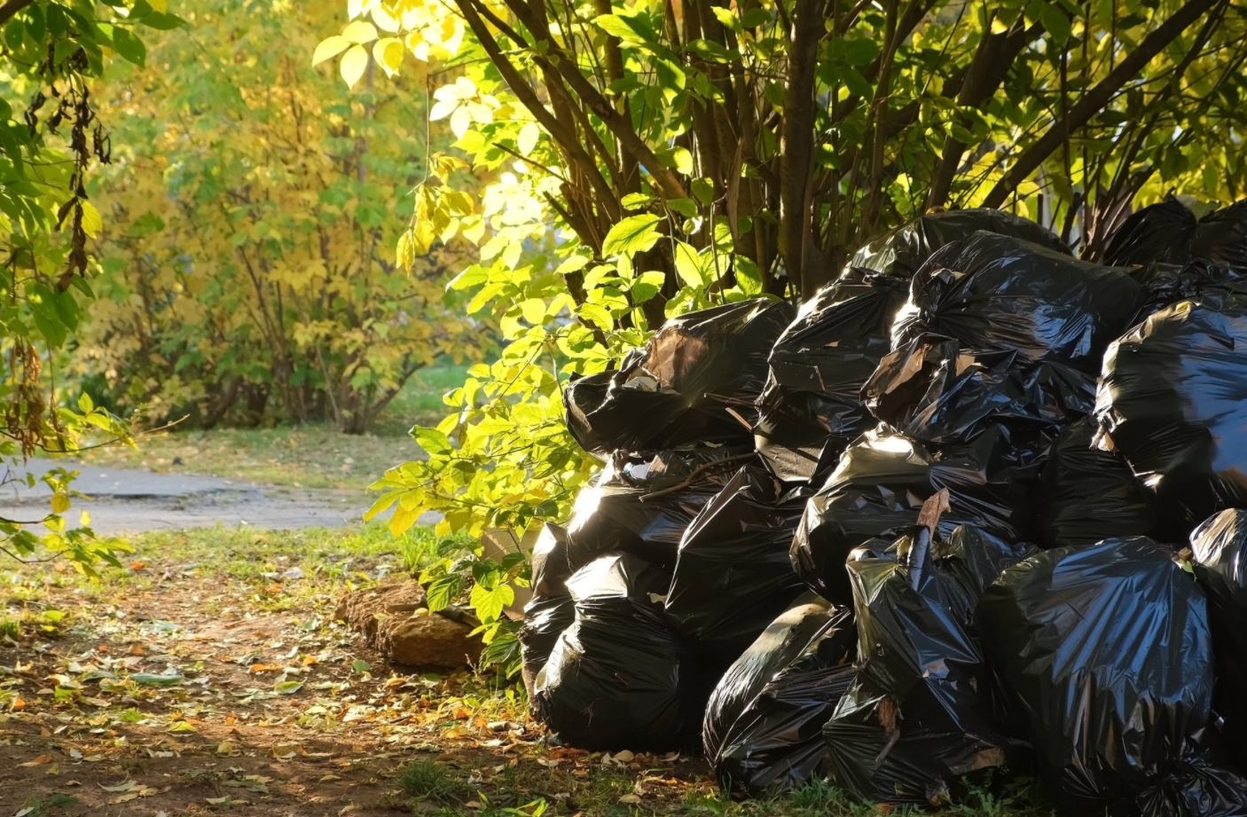 Curbside junk pickup in Surrey, BC