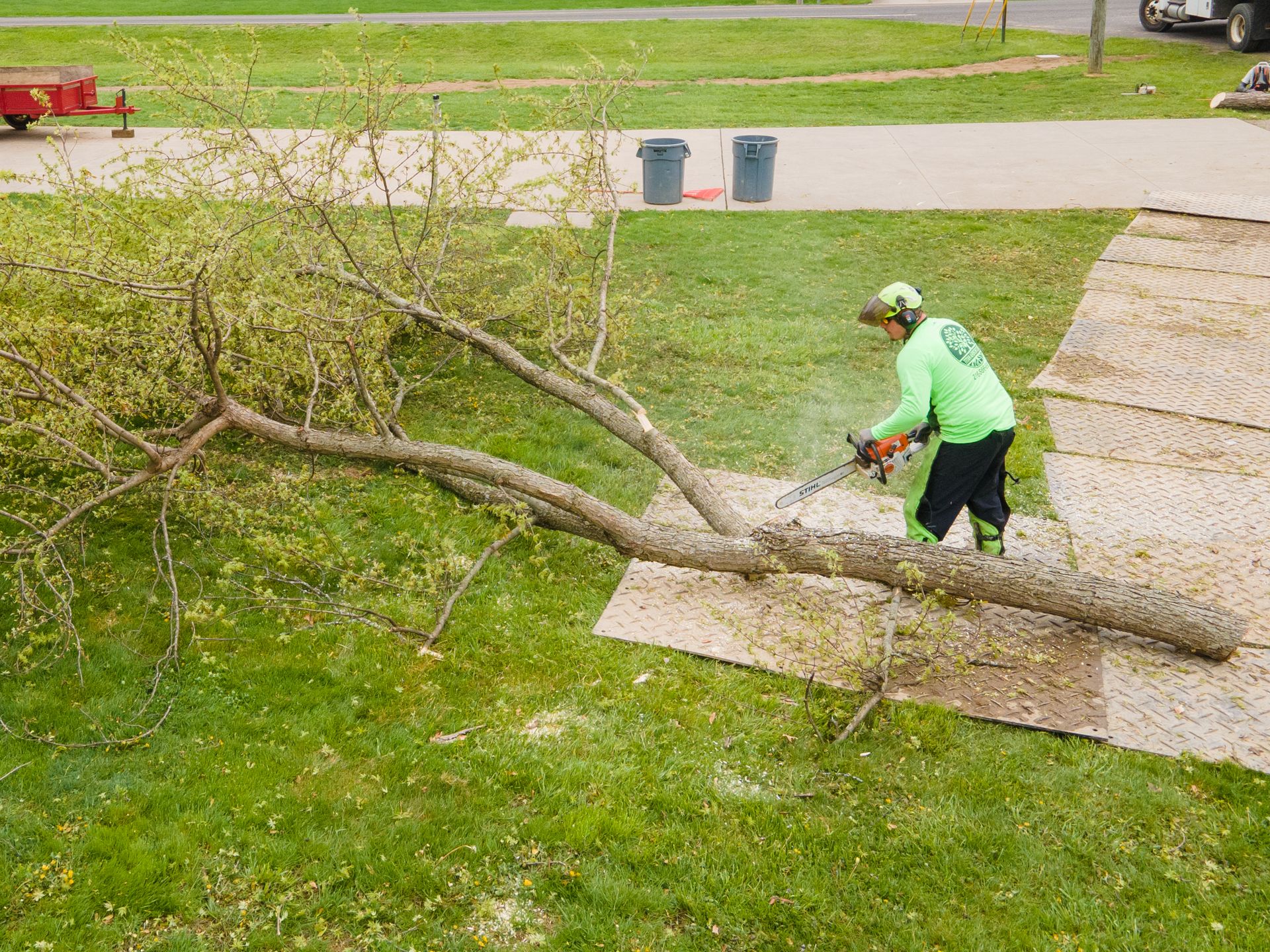 Tree Services | Titan Arbor Care | Arborist