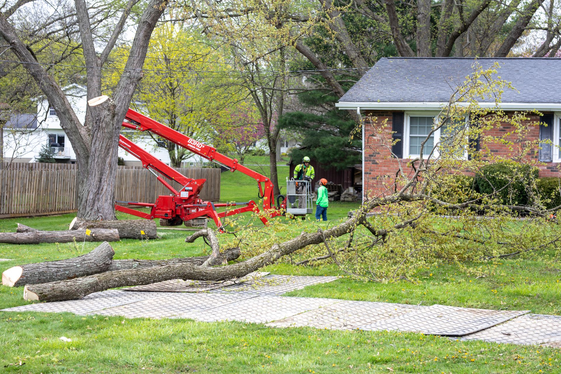 Commercial Tree Service Titan Arbor Care Arborist Northeast OH