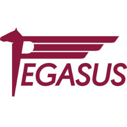 PEGASUS logo in maroon with stylized winged horse icon and bold text on white background