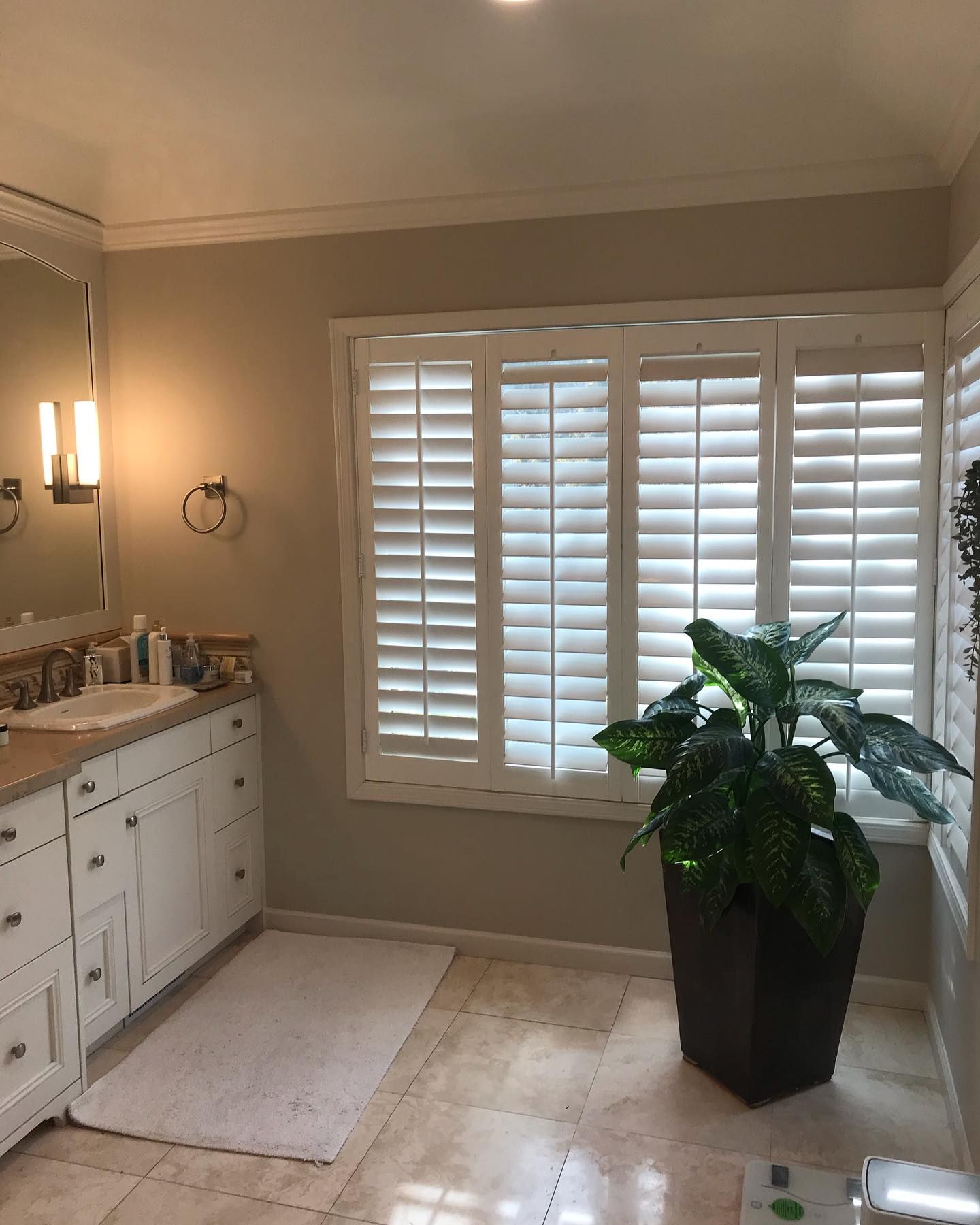 A bathroom with a white vanity, a tiled floor, a large potted plant, and windows covered by white plantation shutters.