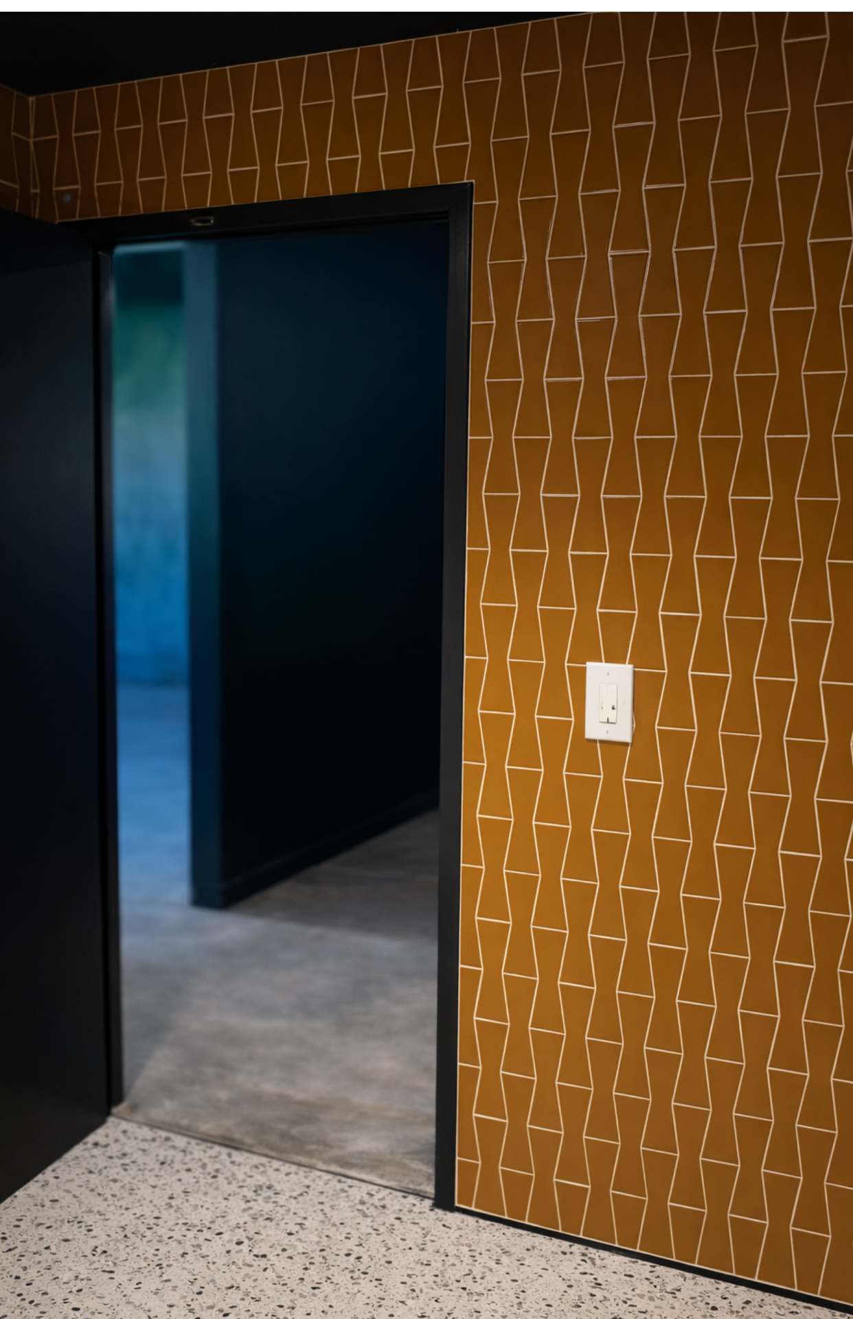 Open doorway with dark interior and brown patterned wall beside a white switch.