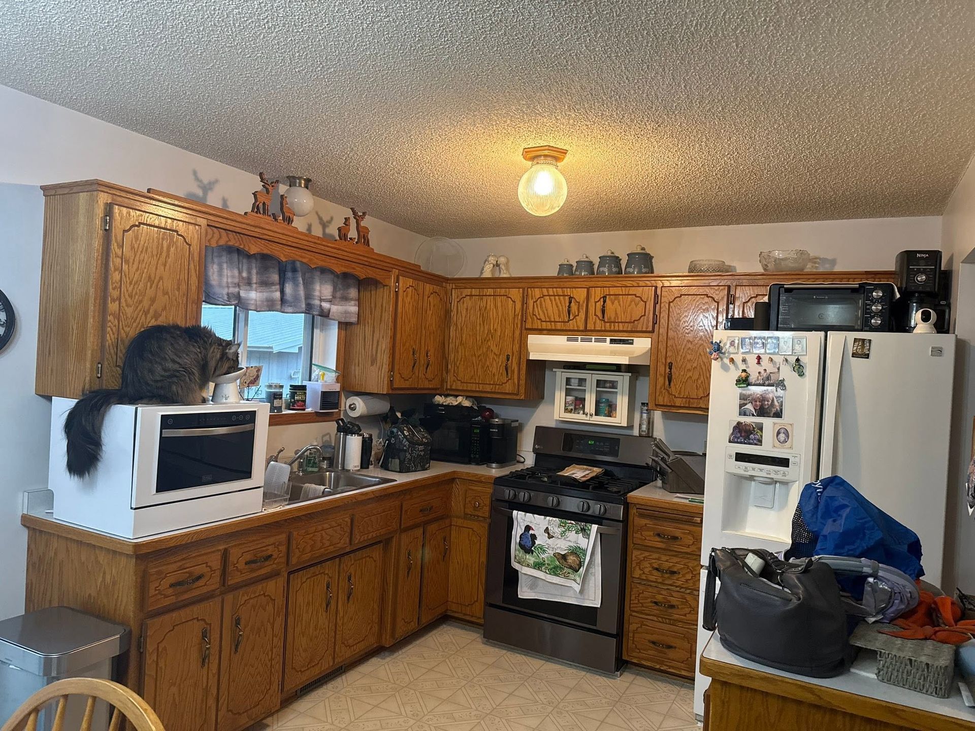 Compact kitchen with wood cabinets, white appliances, and a cat sitting on the microwave.