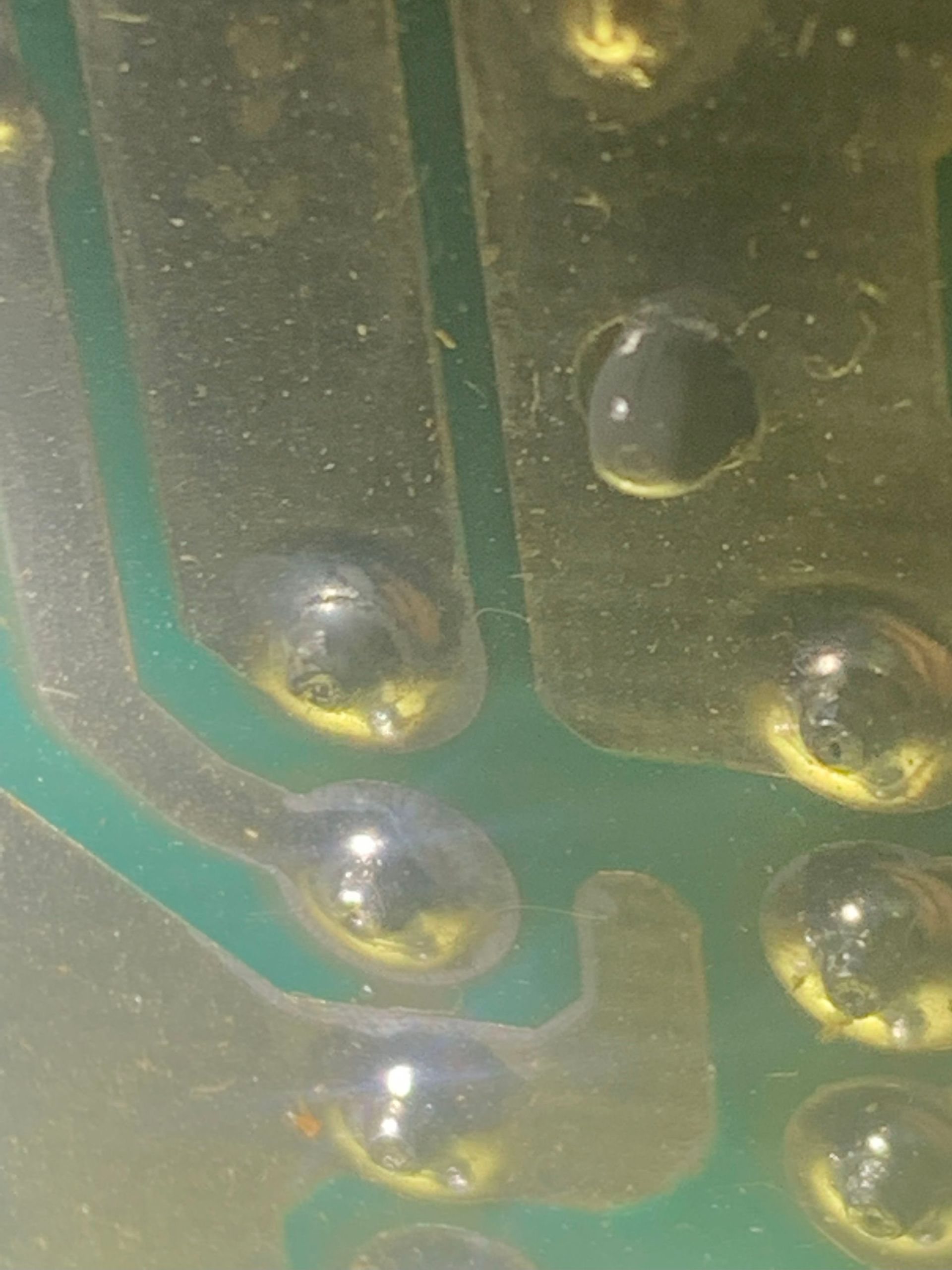 Electronics Repair