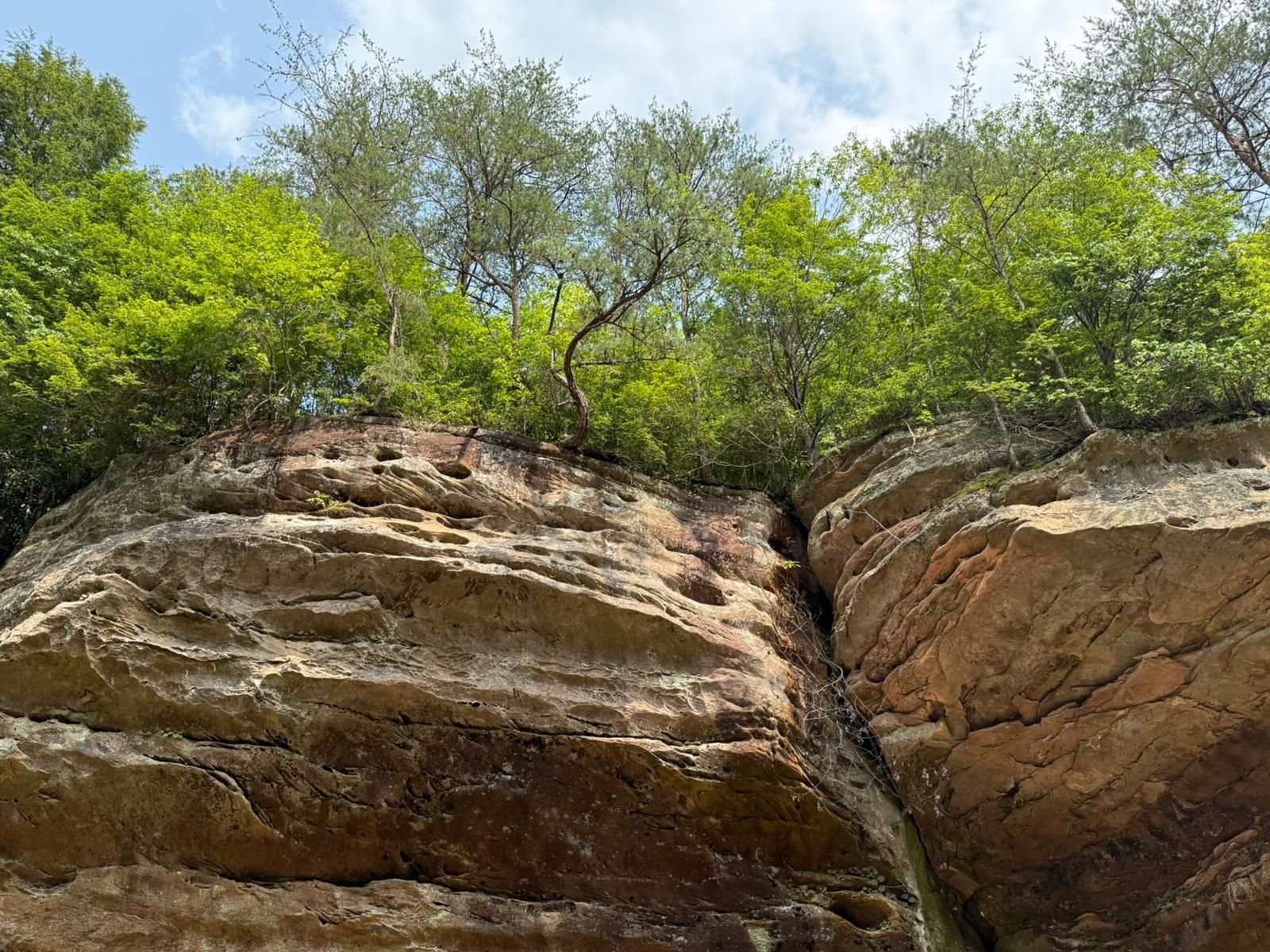 Rock cliff with layered stone and green trees against a blue sky