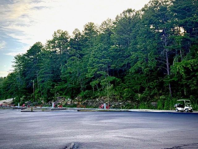 Asphalt lot with a golf cart, backed by a forest of green trees under a cloudy sky.