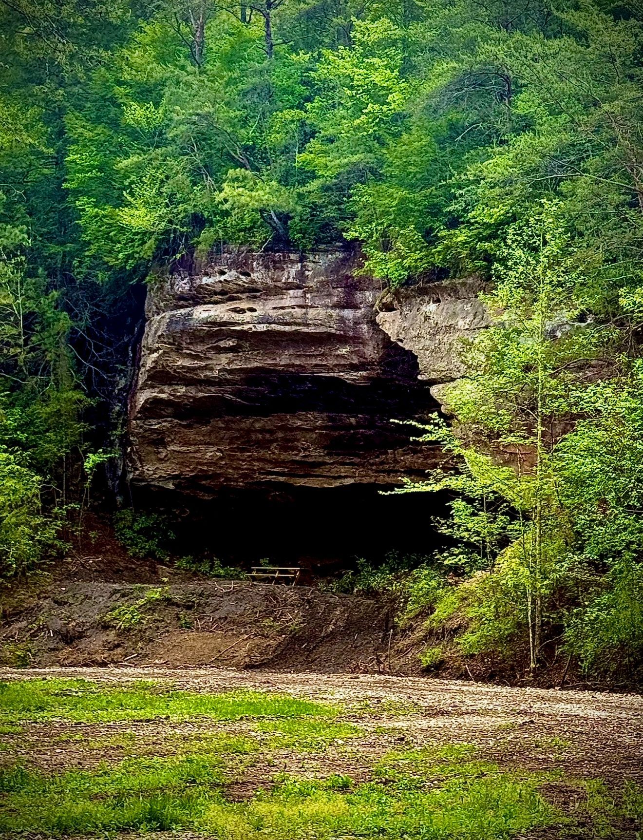 Mossy rock overhang in a lush green forest with a dirt clearing below