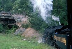 Steam locomotive chugging through a green forest beside a rocky hillside