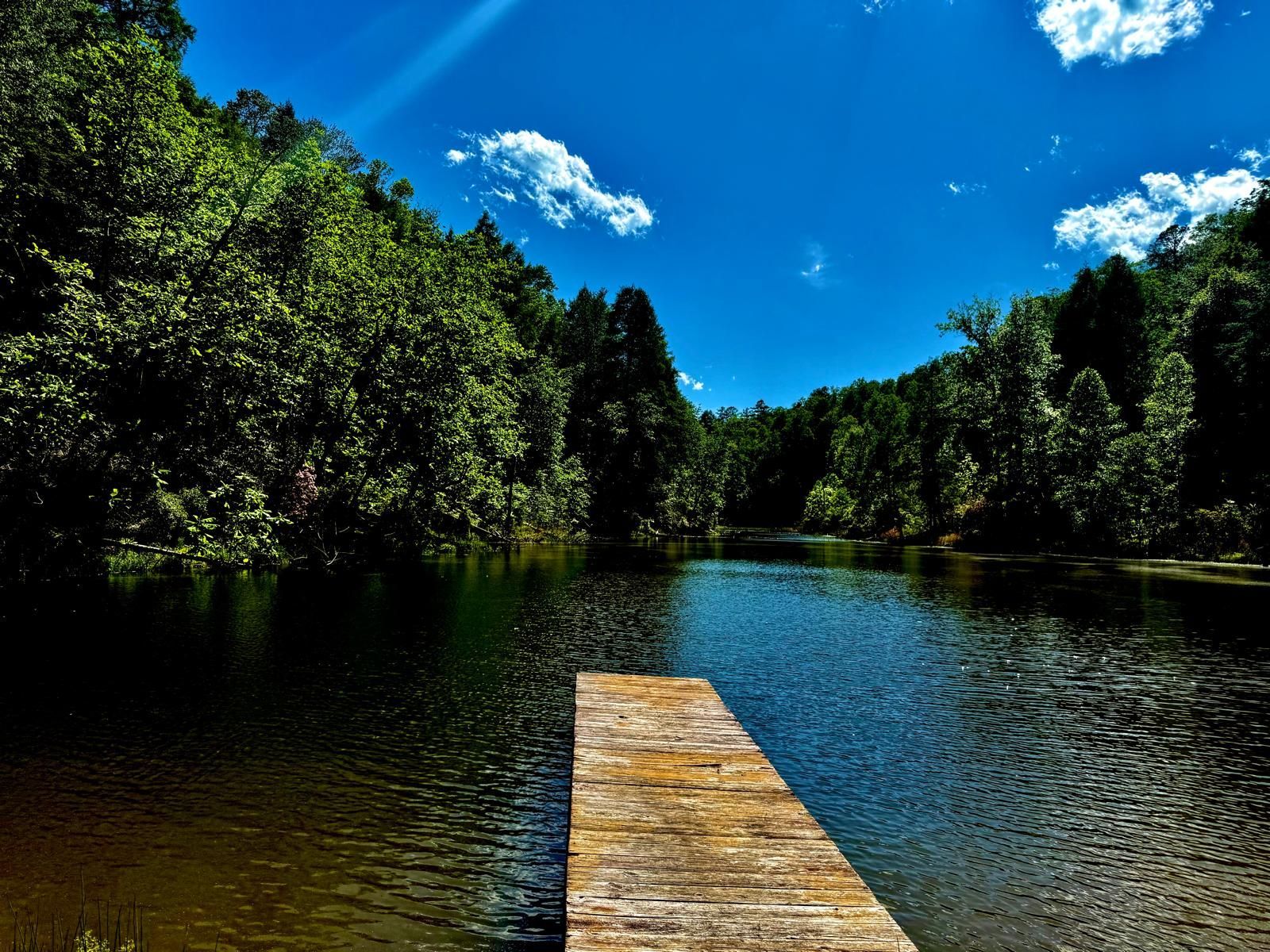 Wooden dock extending into a calm river surrounded by dense green trees under a bright blue sky