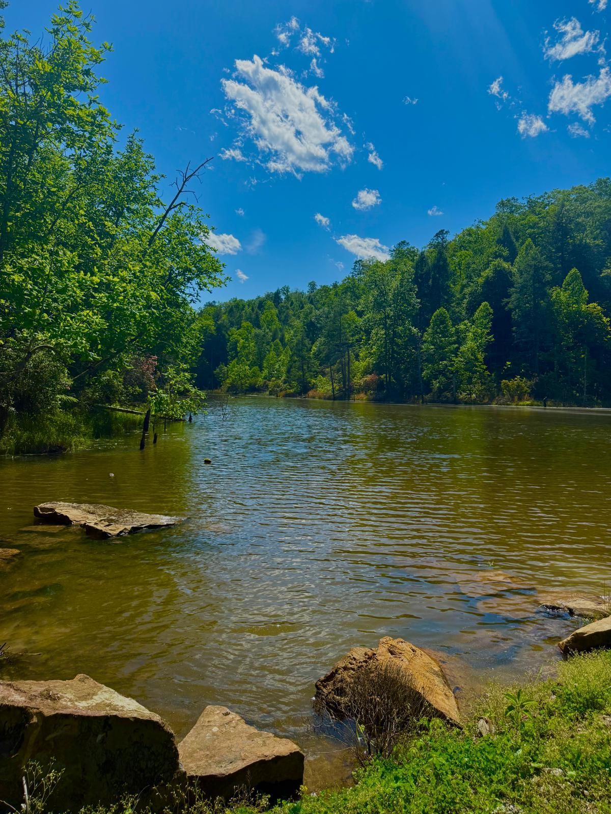 Rocky riverbank beside a calm forest river under a bright blue sky with scattered clouds