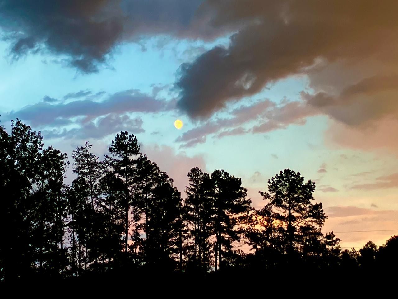 Silhouette of pine trees against a colorful sunset sky with the moon visible.