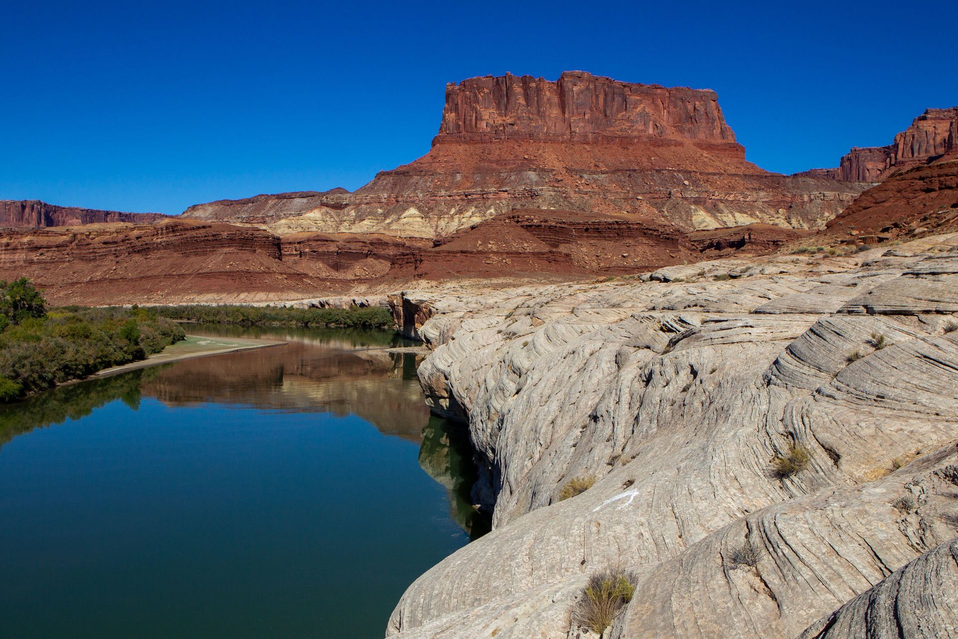 Desert canyon with a calm river, pale rock foreground, and red mesas under a clear blue sky