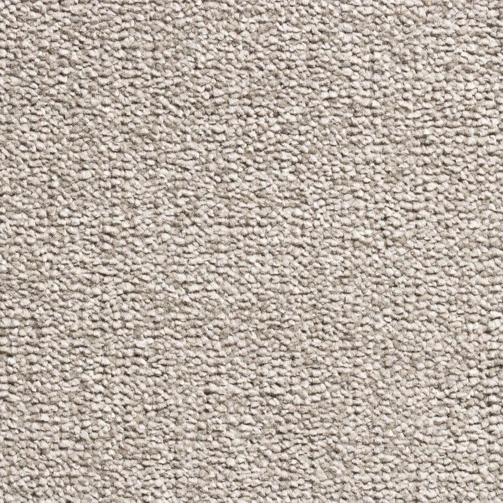 Lapshet PLASHET CARPETS | CARPETS | REVOLUTION SUPREME