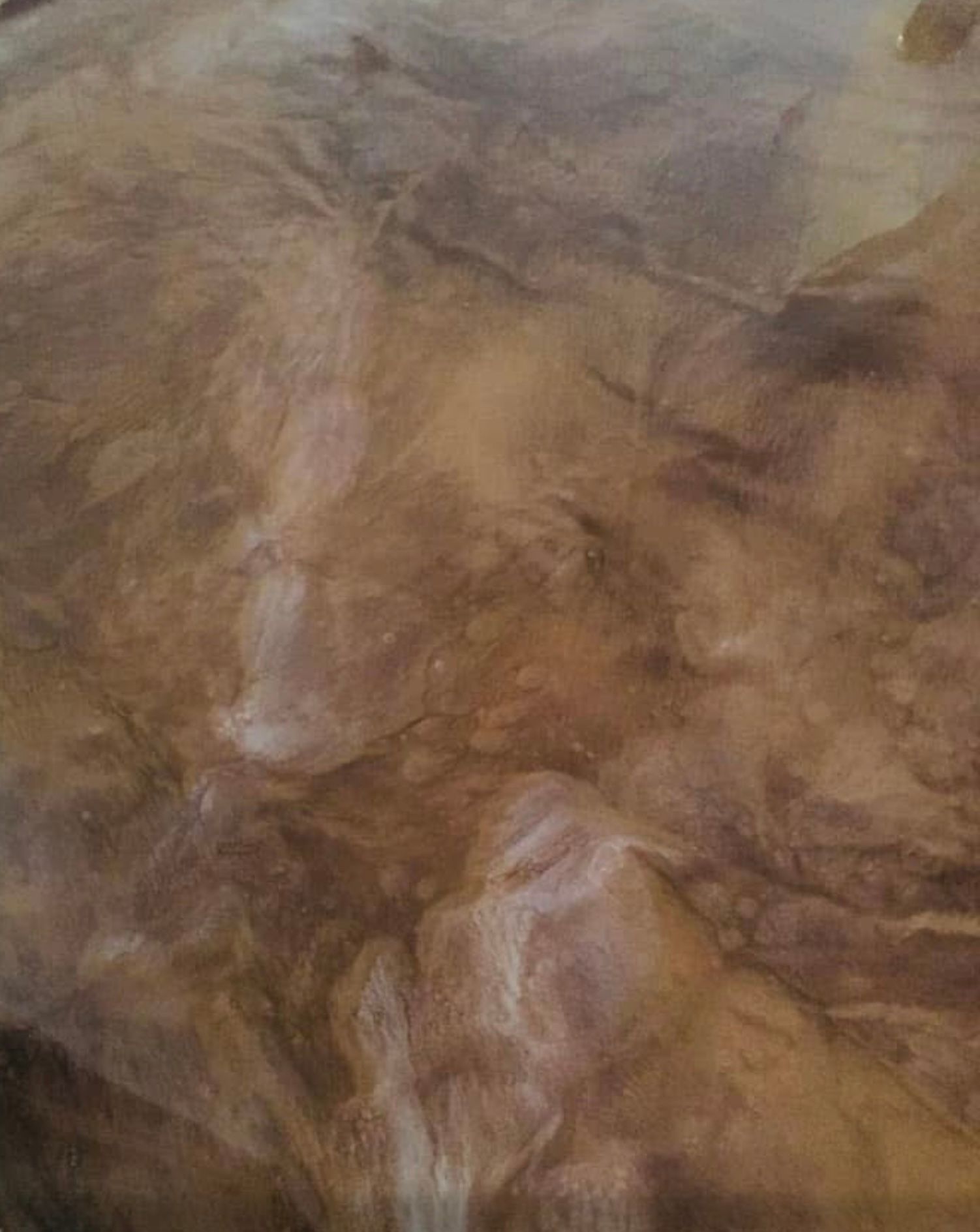 Metallic Reflector Enhancer Concrete Flooring Offered  With Epoxy and Polyaspartic Urethane.Metallic Reflector Enhancer Concrete Flooring Offered  With Epoxy and Polyaspartic Urethane.