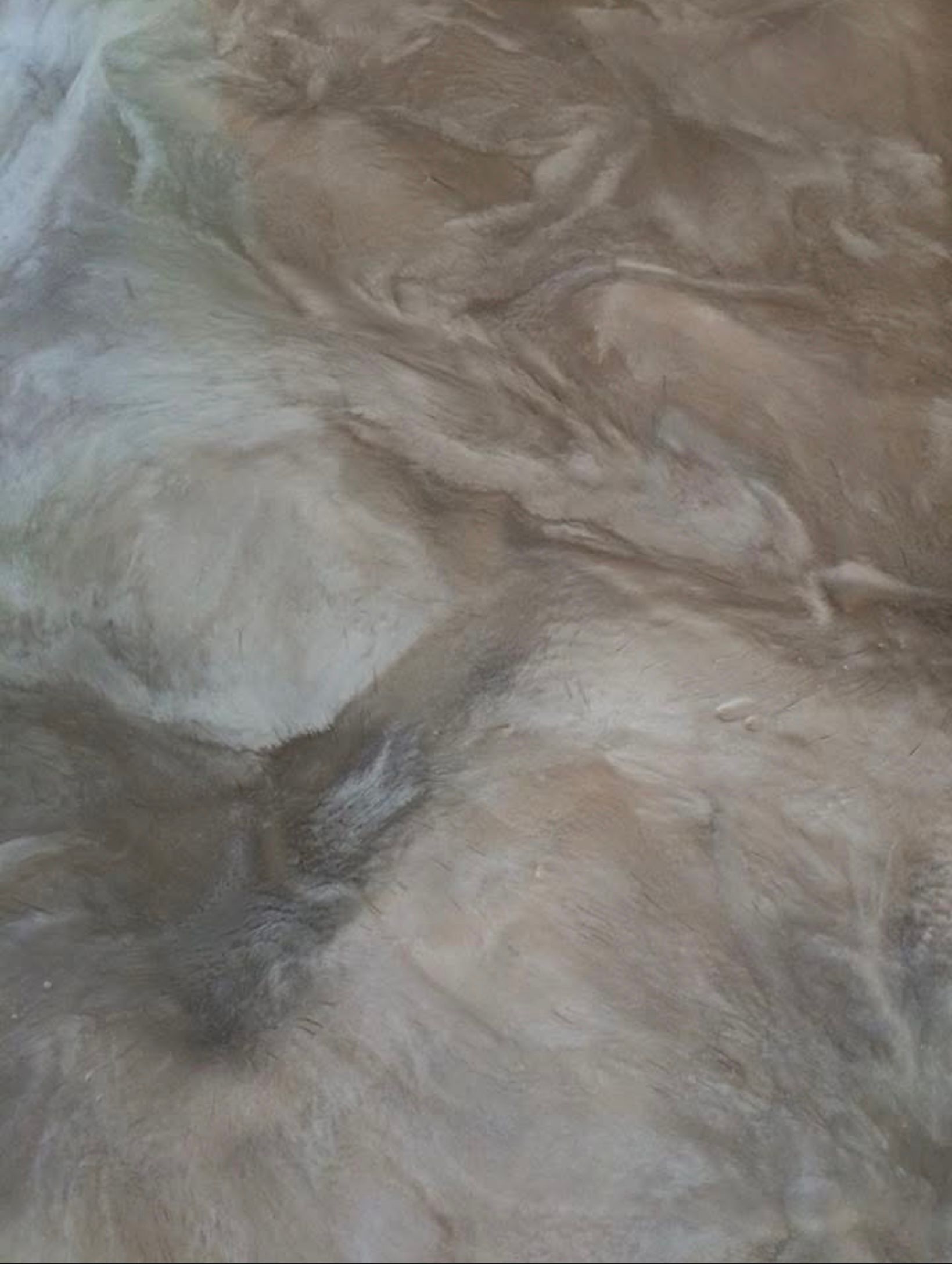 Metallic Reflector Enhancer Concrete Flooring Offered  With Epoxy and Polyaspartic Urethane.