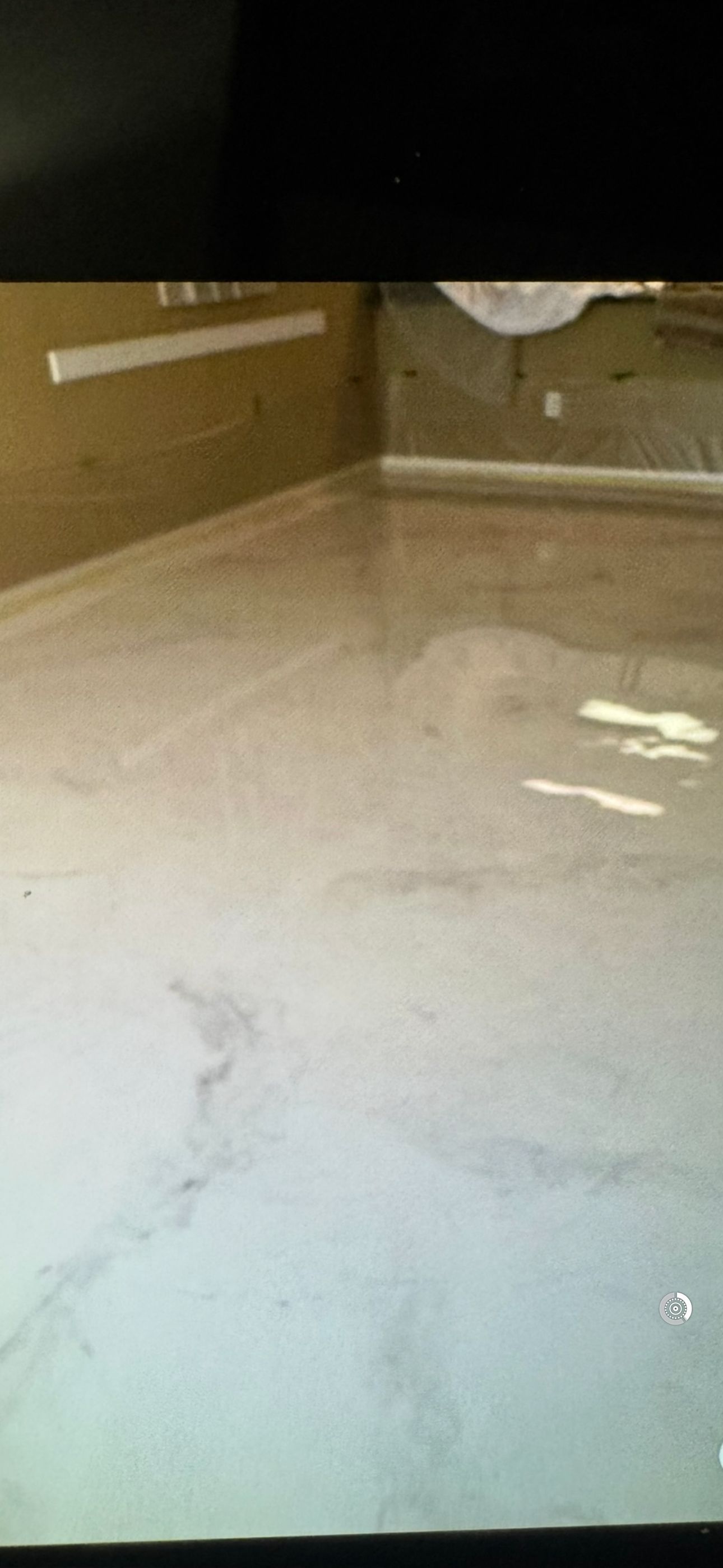 Metallic Reflector Enhancer Concrete Flooring Offered  With Epoxy and Polyaspartic Urethane.