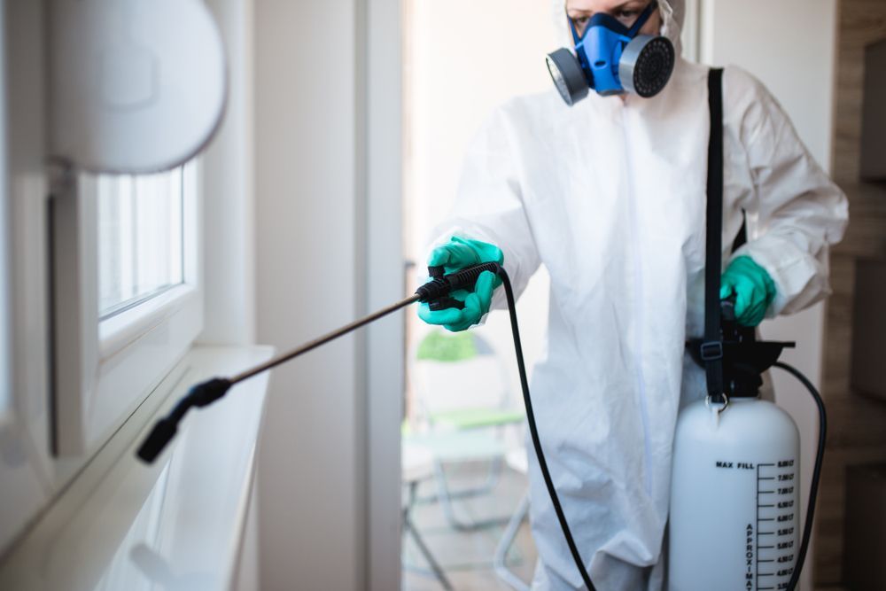 Person In Protective Suit Spraying Insecticide Near A Window — Brazel's Pest Control in Coffs Harbour, NSW