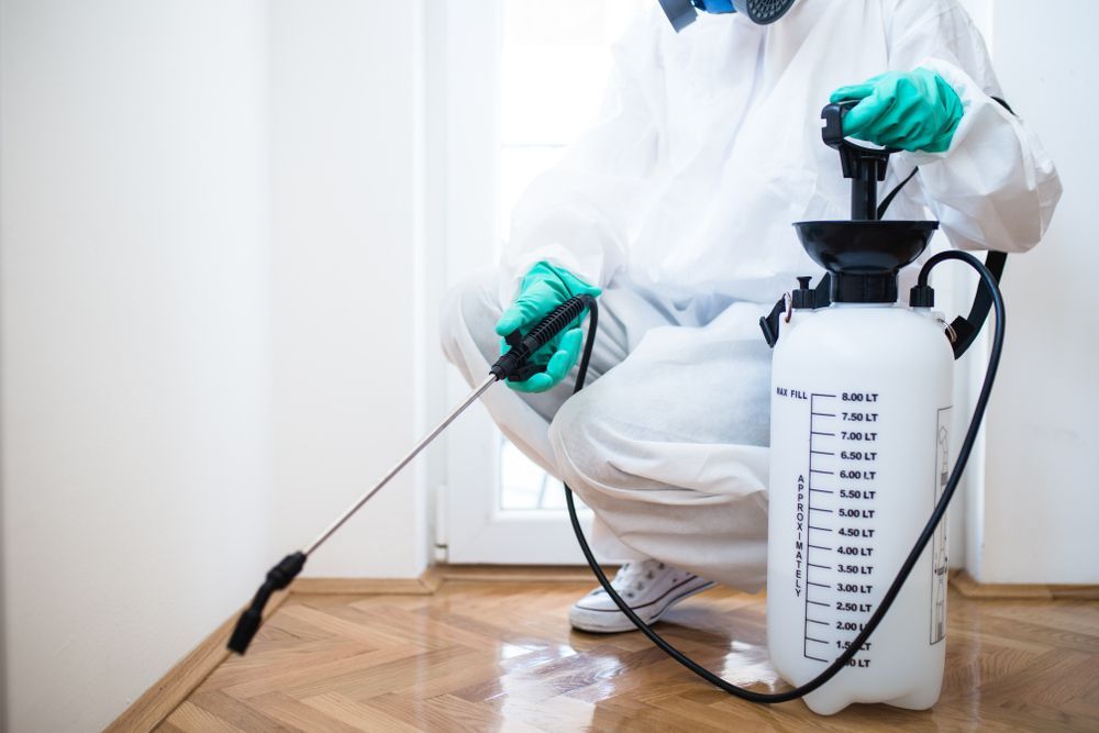 Pest Control Worker In Protective Suit Spraying Insecticide — Brazel's Pest Control in Coffs Harbour, NSW