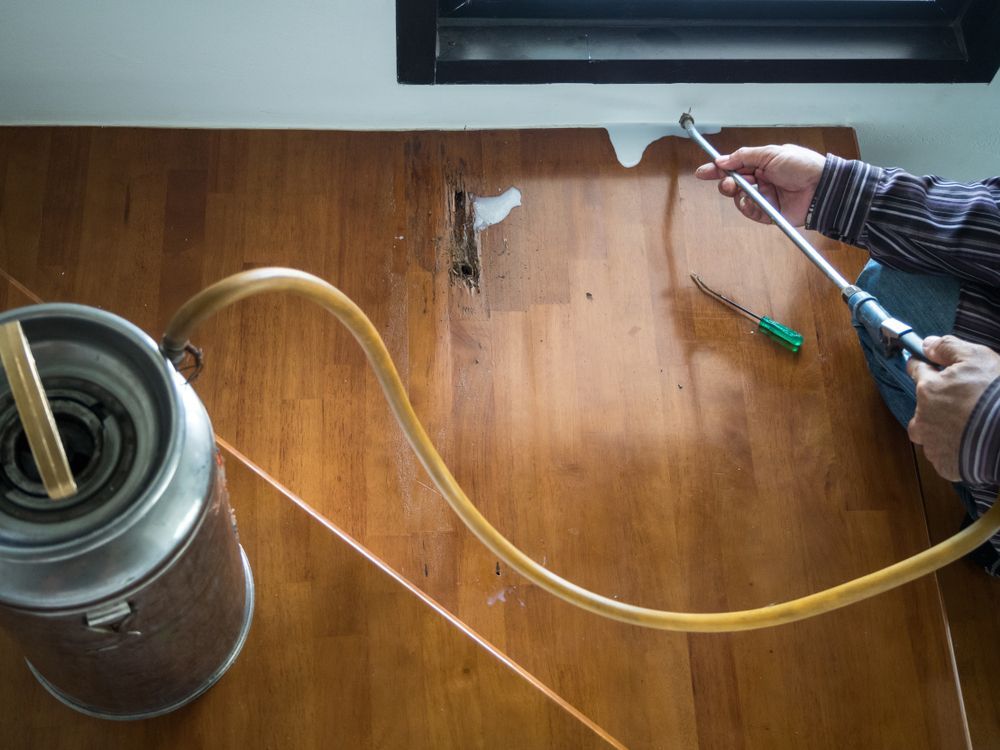 Person Spraying Pesticide On Wood Surface — Brazel's Pest Control in Grafton, NSW