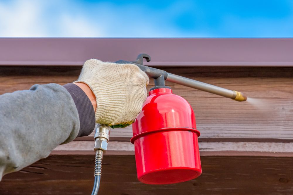 Person Spraying Insecticide Onto A Brown Wooden Surface — Brazel's Pest Control in Coffs Harbour, NSW