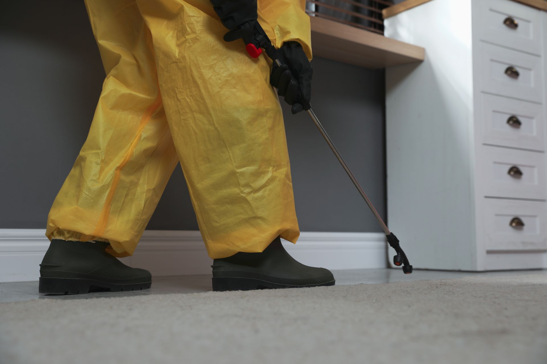 Person In Yellow Hazmat Suit Spraying Carpet — Brazel's Pest Control in Dorrigo, NSW