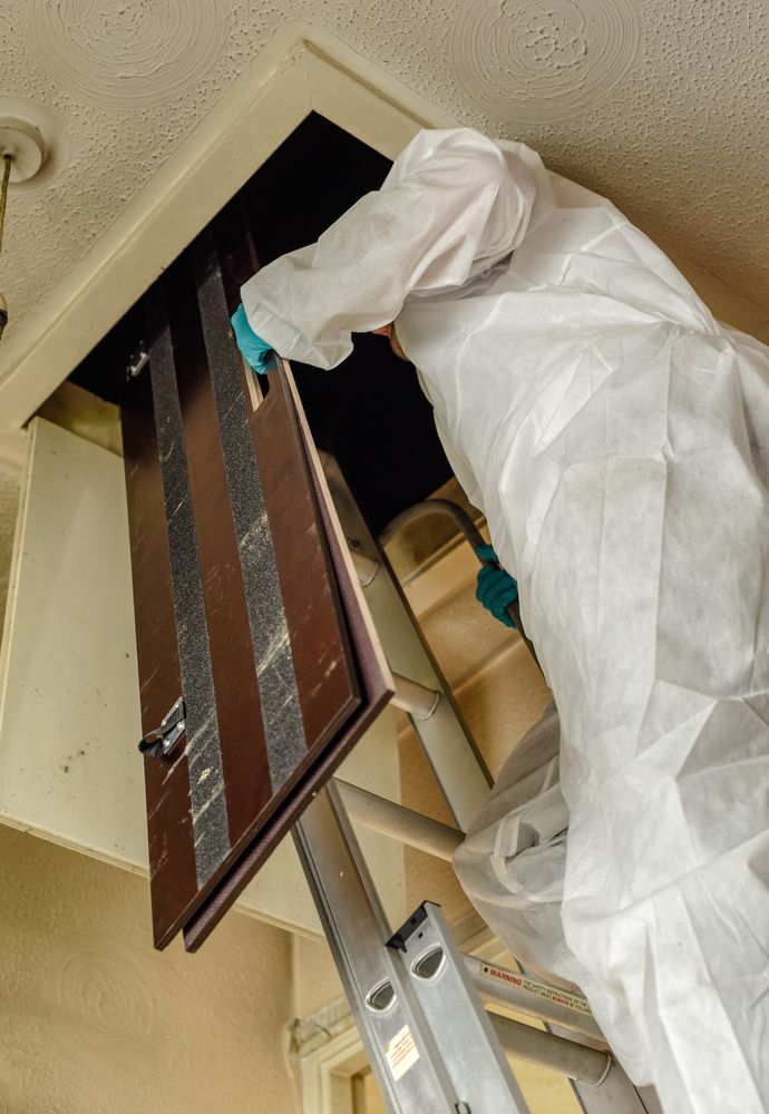 Person In Protective Suit Opening Attic — Brazel's Pest Control in Dorrigo, NSW