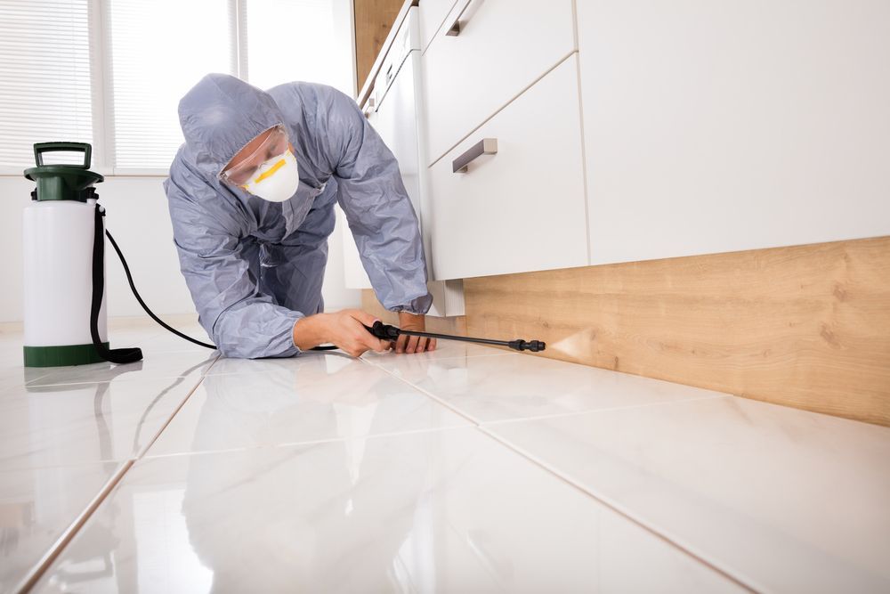 Pest Control Worker In Protective Gear Spraying Along A Cabinet — Brazel's Pest Control in Bellingen, NSW