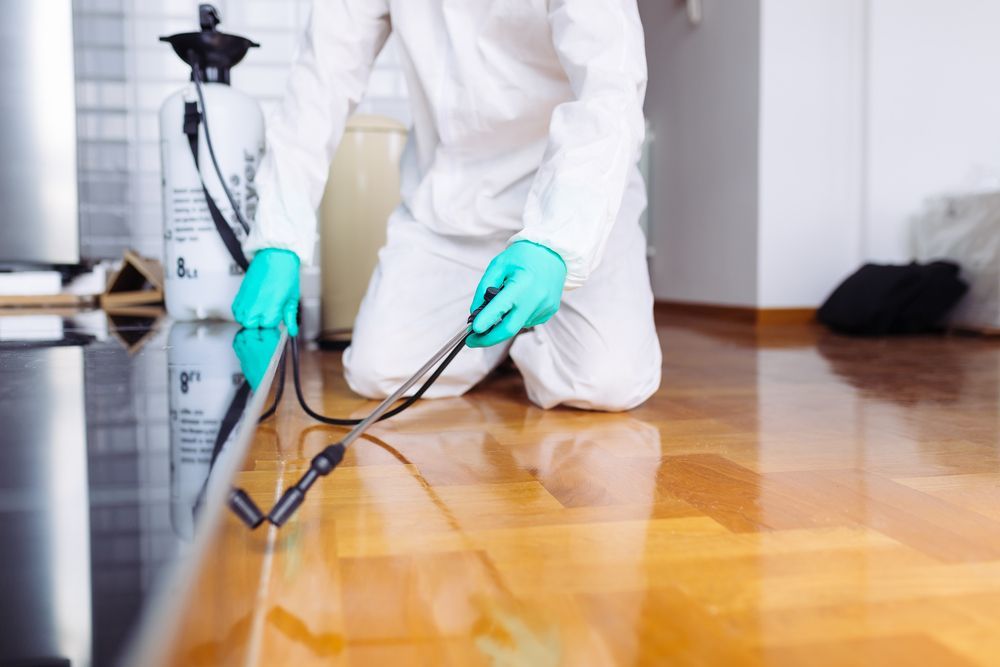 Person In Protective Suit Spraying A Floor — Brazel's Pest Control in Bellingen, NSW