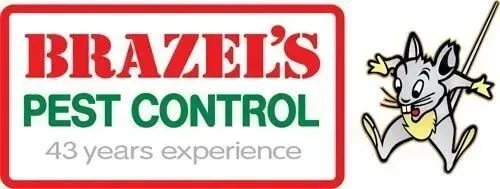 Pest Control on the Mid North Coast