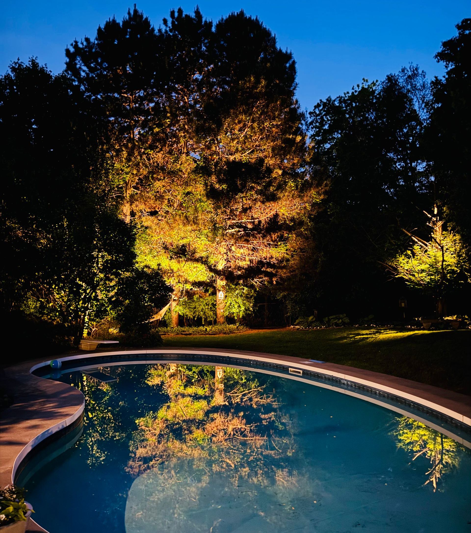 Landscape lighting highlighting trees around a backyard pool area at night