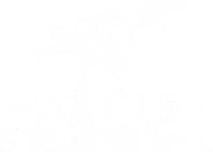 Raine Electrical Raine Electrical