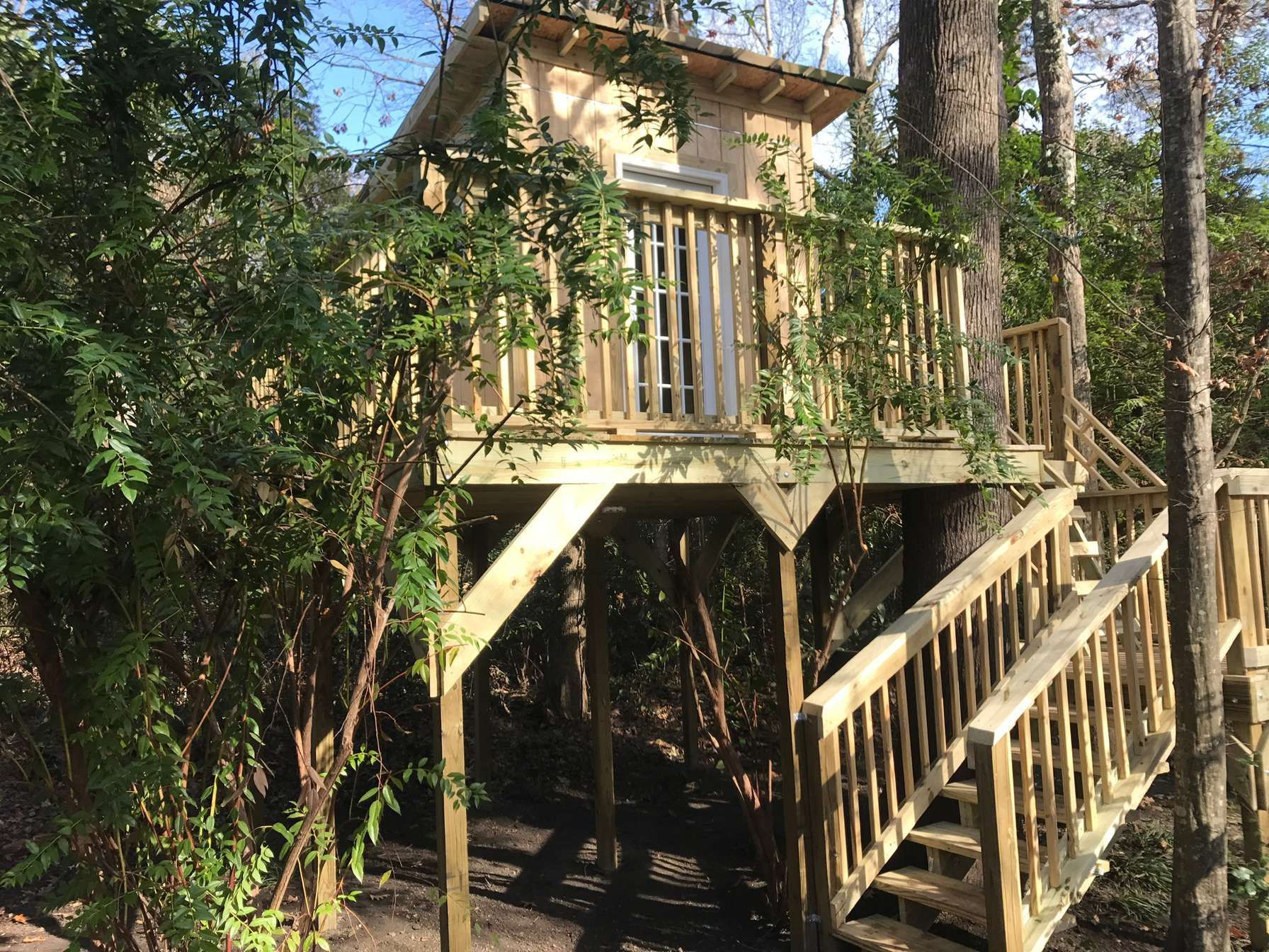 Treehouse deck with wooden stairs in a wooded area