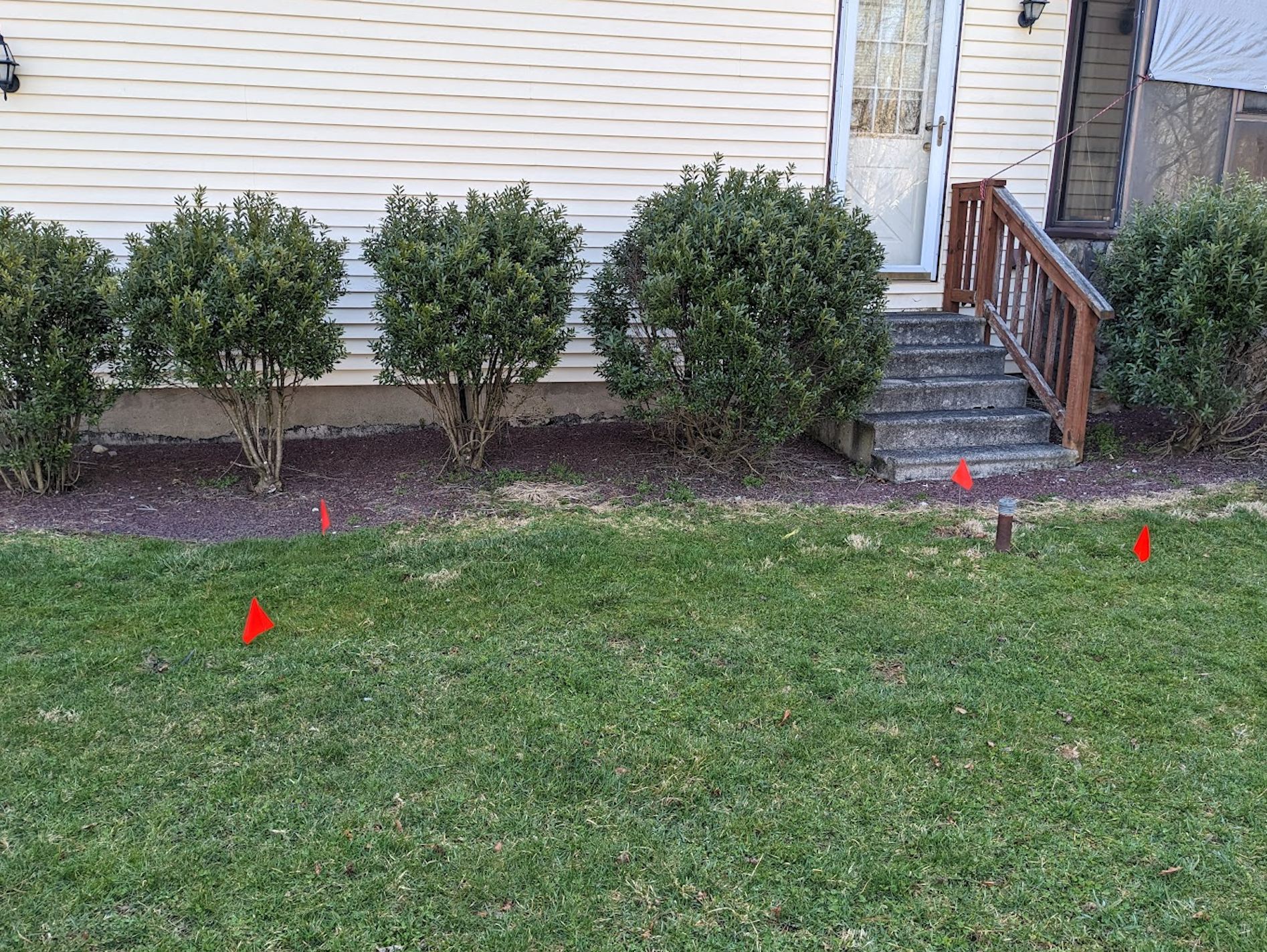 Green lawn with small bushes, red flags, and steps leading to a house entrance.