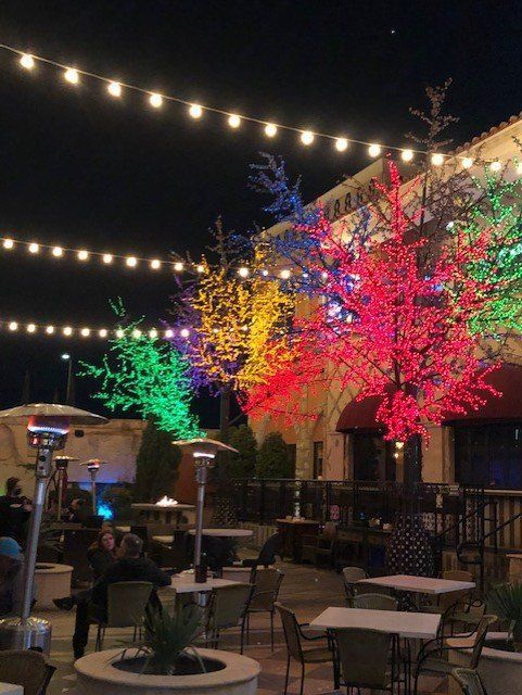 Outdoor restaurant patio at night with rainbow-colored lit trees and string lights. People sit at tables.