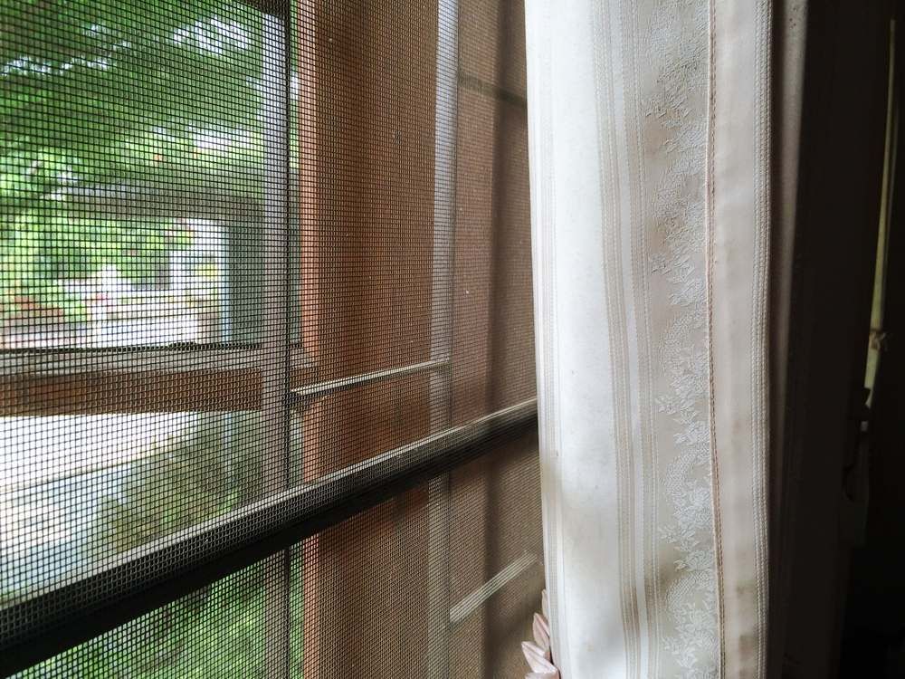 A Person is Looking Out of a Window With a Screen on It — Whitsunday Architectural Windows & Doors in Proserpine, QLD