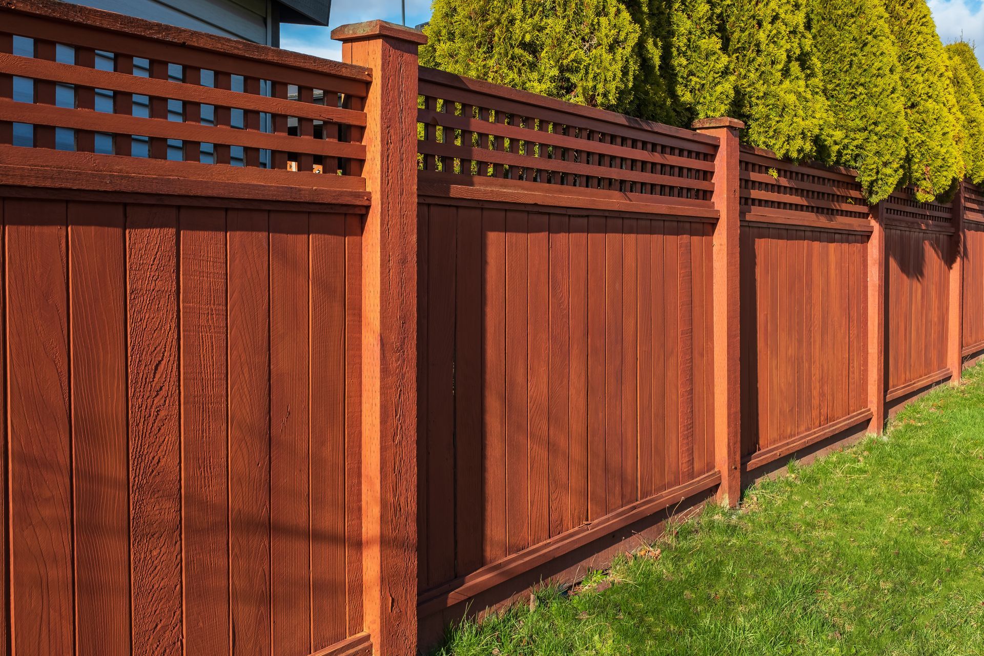 A brown wooden privacy fence with a lattice top border, standing in front of green trees on a sunny day.